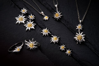 Swiss Edelweiss by Gexist