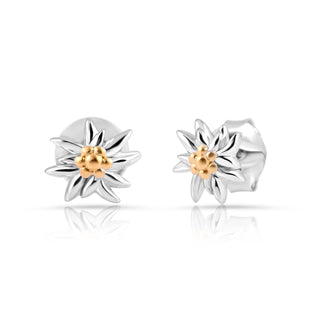 Bicolor rhodium-plated Sterling silver and yellow gold mini stud earrings featuring Edelweiss by Gexist®