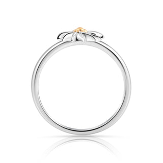 Bicolor rhodium-plated Sterling silver and yellow gold ring featuring the glacier star by Gexist®