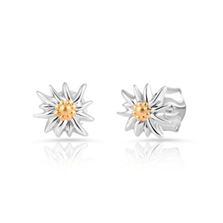Bicolor rhodium-plated Sterling silver and yellow gold stud earrings featuring Edelweiss by Gexist®